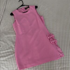 Fashion Nova Luxe Pink Mini Dress